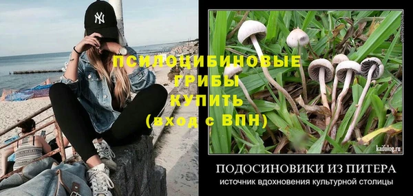 наркотики Алексин