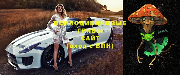 ГАЛЛЮЦИНОГЕННЫЕ ГРИБЫ Алексеевка