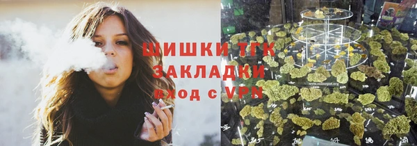 шишки Абаза