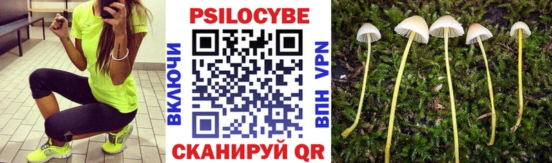 Галлюциногенные грибы Magic Shrooms  хочу наркоту  Аткарск 