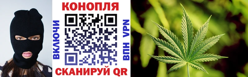 Канабис SATIVA & INDICA  цена наркотик  Аткарск 